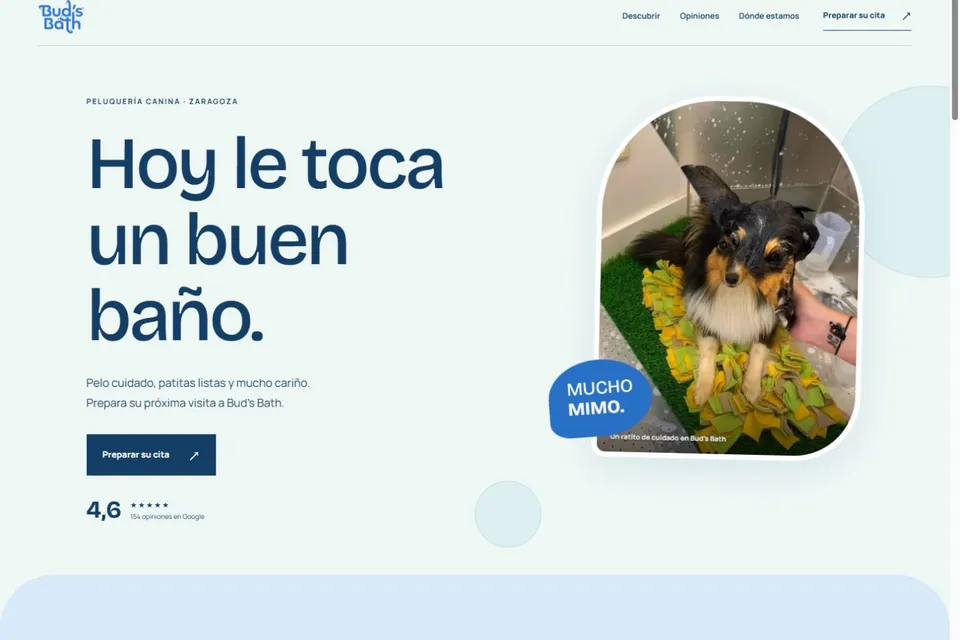 Bud's Bath: Veterinaria y mascotas · Zaragoza
