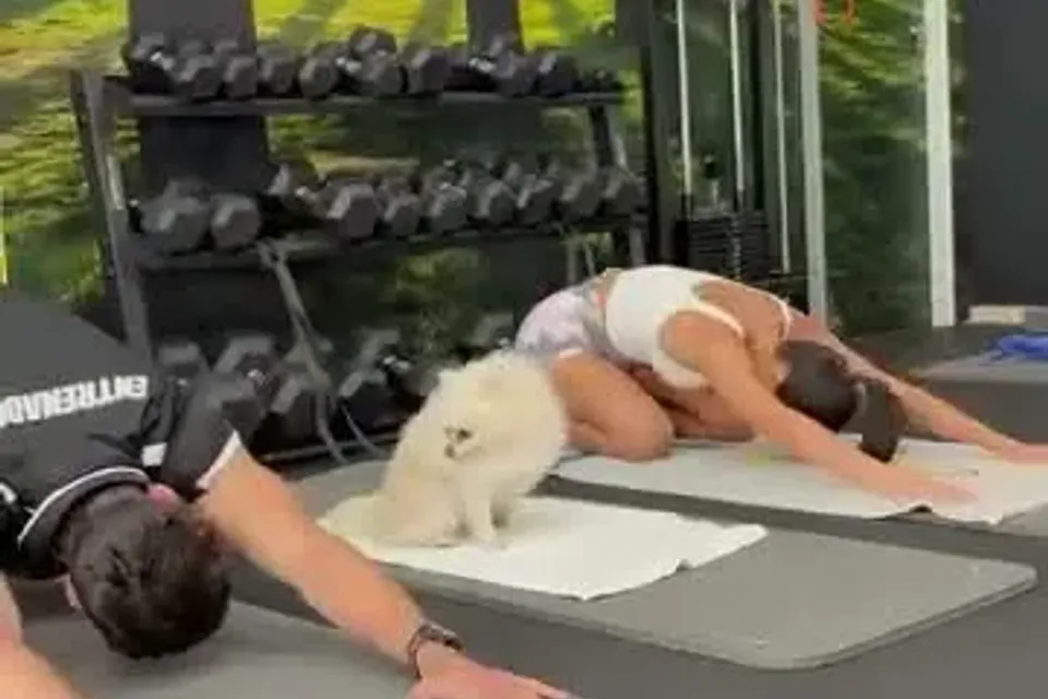 Foster Fitness: Entrenamiento de fuerza · Alicante
