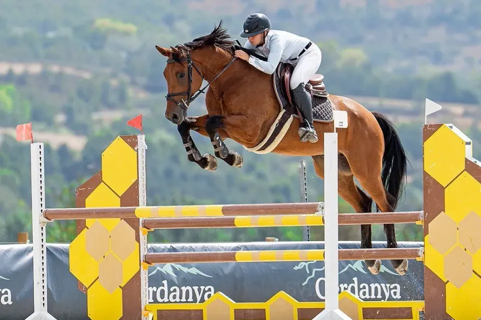 Paddocks de Azahar: Escuela de equitación · Castelló de la Plana
